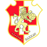 纳沙尔狮队  logo